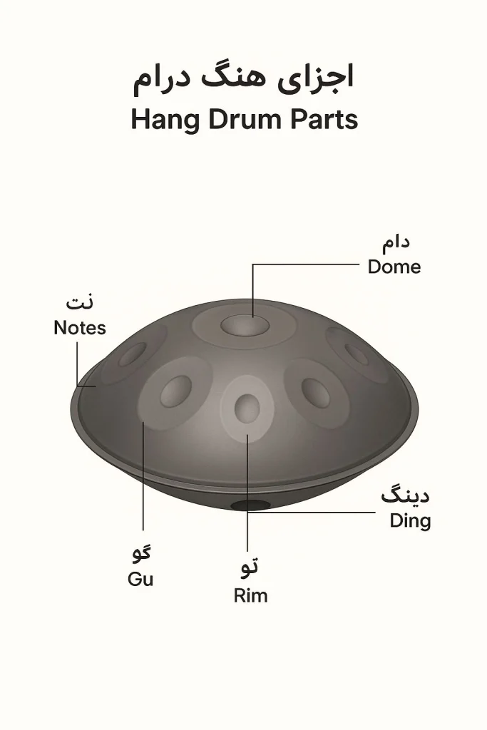 اجزای هنگ درام