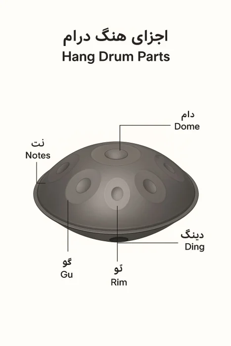 اجزای هنگ درام